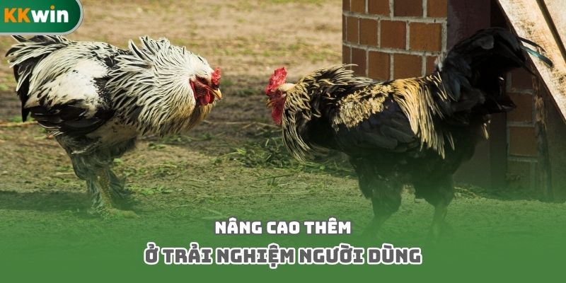 Nâng cao thêm ở trải nghiệm người dùng