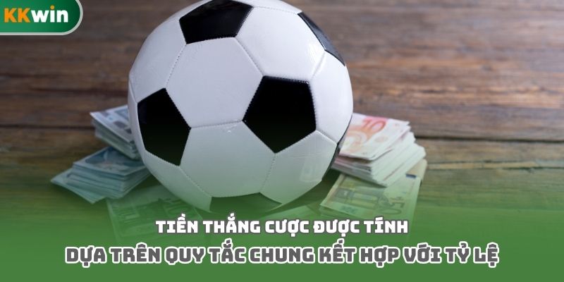 Tiền thắng cược được tính dựa trên quy tắc chung kết hợp với tỷ lệ